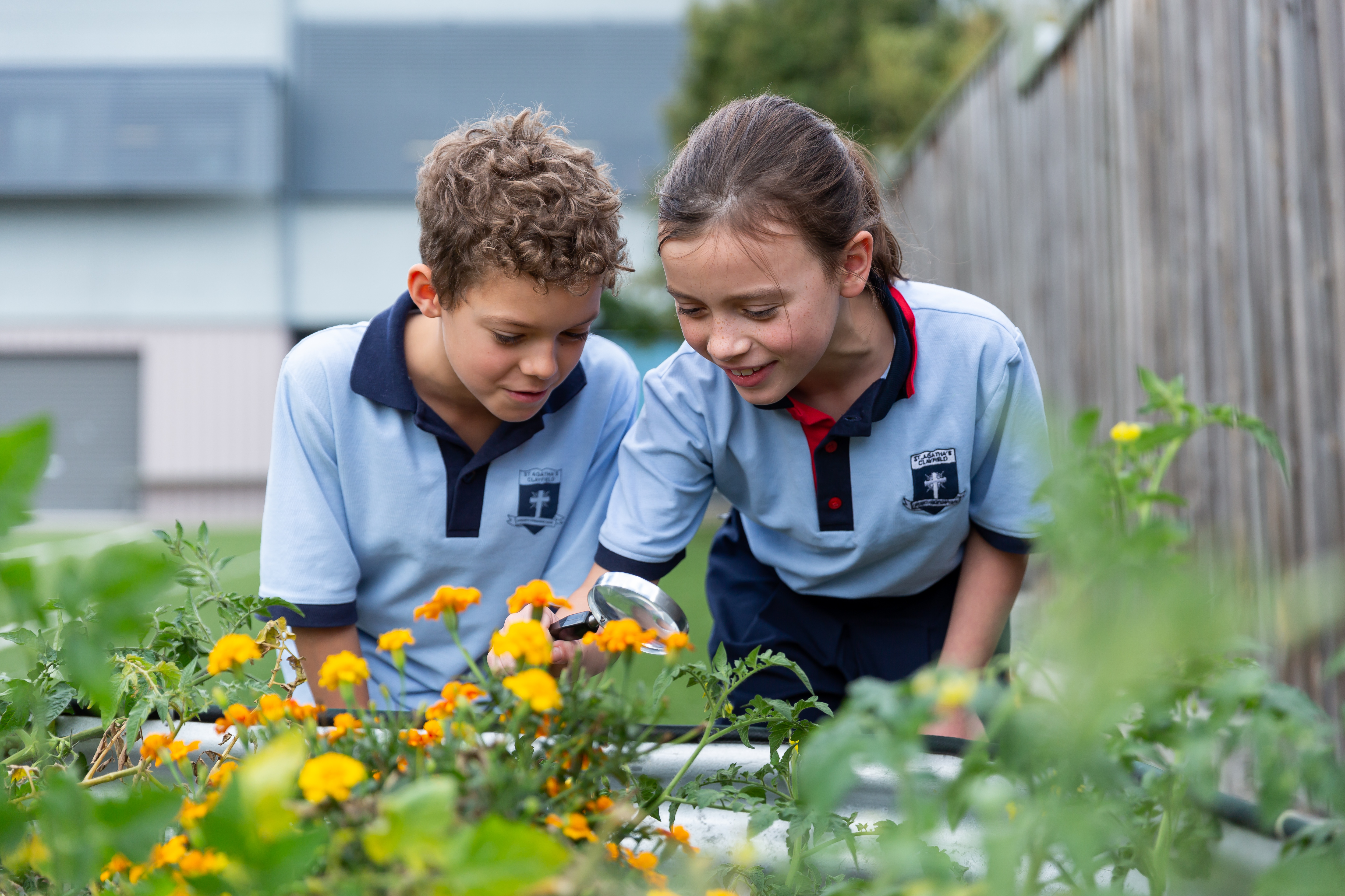 Two students examining plants together in a school garden during an outdoor learning activity