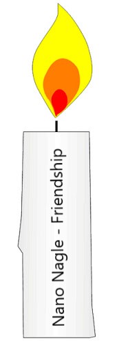 Friendship candle with a yellow flame and the words Nano Nagle Friendship on the candle body
